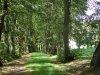 Allee am Theklaberg