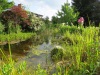 Teich im Garten